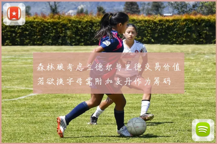森林狼考虑兰德尔与里德交易价值若欲换字母需附加麦丹作为筹码