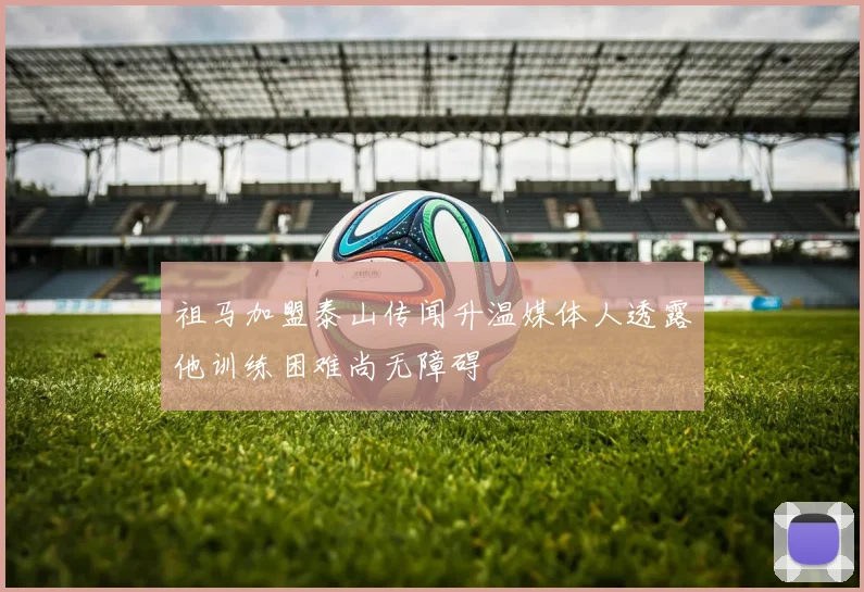 祖马加盟泰山传闻升温媒体人透露他训练困难尚无障碍