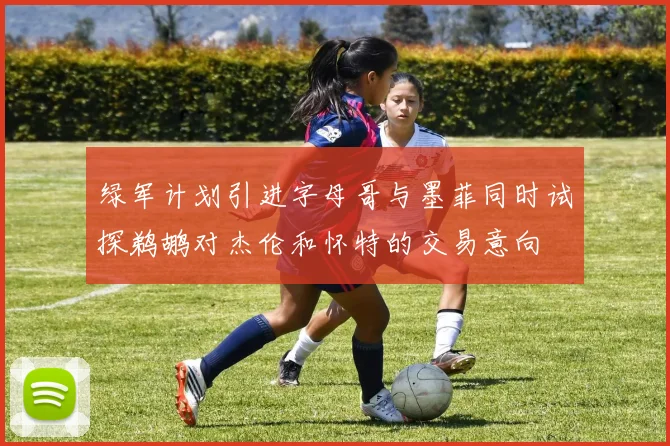 绿军计划引进字母哥与墨菲同时试探鹈鹕对杰伦和怀特的交易意向